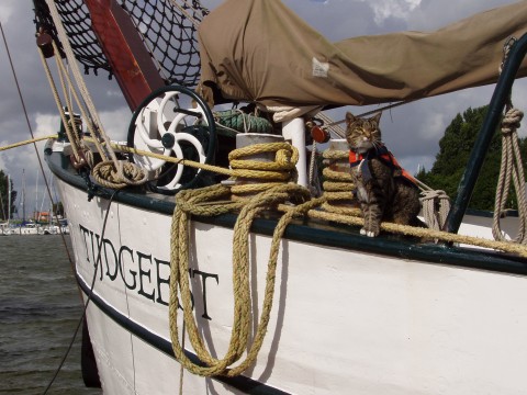 Verblijf 990003 � Boot  � Tijdgeest 