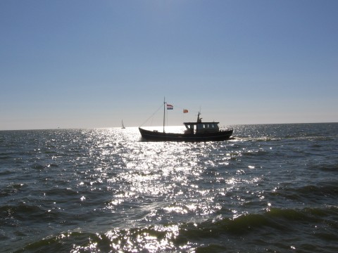 Schip 990010 � Kotter Enkhuizen � Deo Annuente