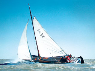 Schip 990028 � boeierAak/lemsteraak Terherne � Westfries