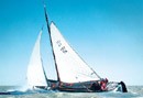 Schip 990028 � boeierAak/lemsteraak Terherne � Westfries