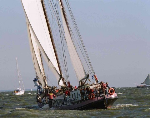 Schip 990039 � tweemastklipper Enkhuizen � Onrust