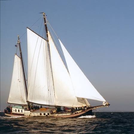 Schip 990039 � tweemastklipper Enkhuizen � Onrust