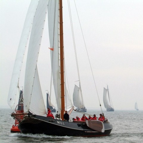 Lemsteraak, visserman Sterke Hein • Workum • Friese Meren, IJsselmeer, Markermeer, Waddenzee