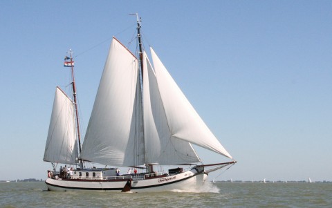 Boot 990055 • Zeilschip (incl. schipper) Hoorn • Zee tjalk De Toekomst 