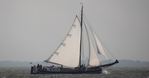 Verblijf 990058 � Boot  � ORION 