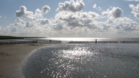 Schip 990085  Tjalk Harlingen  Aagtje
